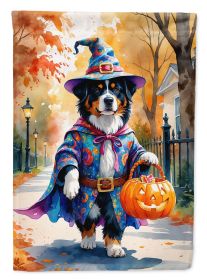 Bernese Mountain Dog Halloween Trick or Treat Garden Flag Mailbox Decorative Yard Banner Outside Patio Artwork for Flower Beds, Garden Size